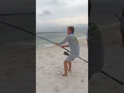 Massive fish on spinning tackle video thumbnail