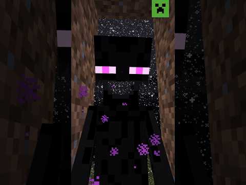 ENDERMAN'S BLOCK COLLECTION