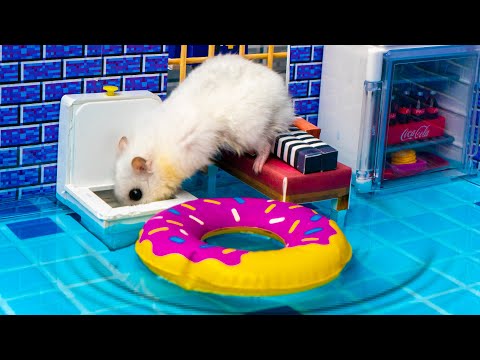 🐹Hamster Escapes the Creative Maze for Pets in real life 😱🐹 in Hamster Stories🐹 Minecraft Maze🐹