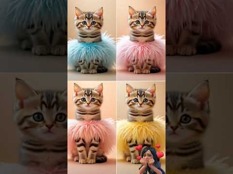 Meow-sic makes me move! #meowmeow #tamil #viral #cat #music #catreels #cutecat #catshorts #kitten