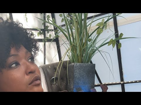 #TurnersSanctuary is live!