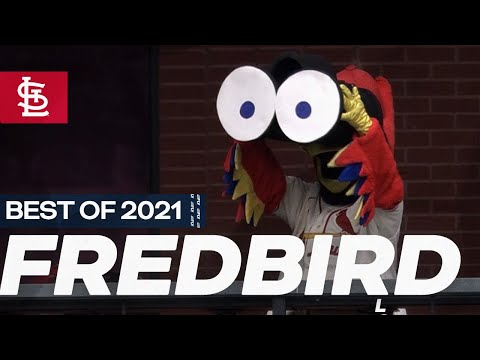 Best of 2021: Fredbird | St. Louis Cardinals video clip