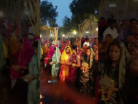 Jai ho chhathi Maiya 🙏🙂‍↕️🙏 #youtubeshorts #chathpuja #chathmahaparv