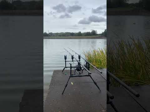 Fishing FOR THE BOYS! #foryou #youtubeshorts #shorts #fyp #fy #fishing #fish #nature #fortheboys