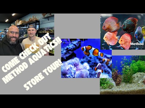 Store Tour of Method Aquatics in Toledo, OH.  Make Store tour of Method Aquatics with owner Alex Parent.  Make sure to check them out!!!

https_//metho