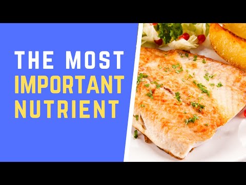 Omega-3: The Single Most Important Nutrient