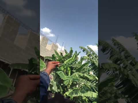 When your fifth sense starts working