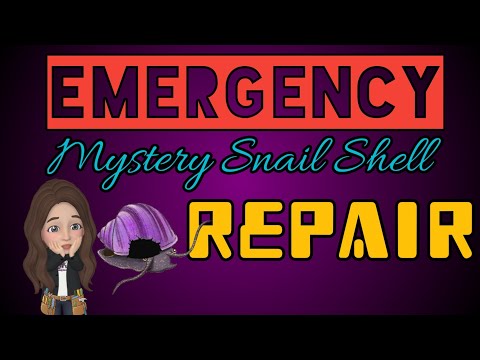 Emergency Shell Surgery This is a hastily put together video to show you all what I do in an emergency situation. Please ref