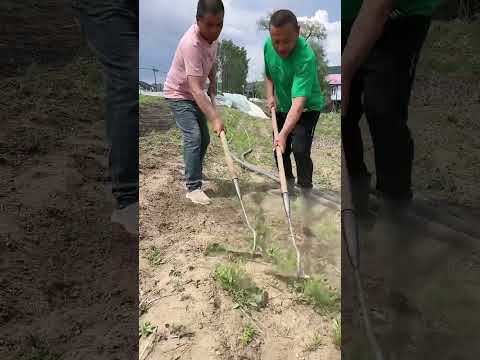 #foodproduction #automobile #machinerychannel #foodbusiness #agriculture #foodindustry