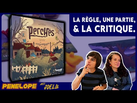 PERCHES - La règle, la partie, la critique !