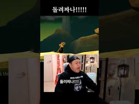 커맨더지코 항아리 게임