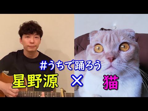 モブと保護猫の最新動画 Youtubeランキング