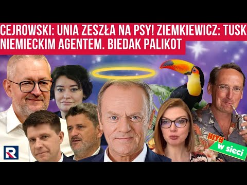 Cejrowski: Unia zeszła na psy! Ziemkiewicz: Tusk niemieckim agentem. Biedak Palikot. Hity w sieci 