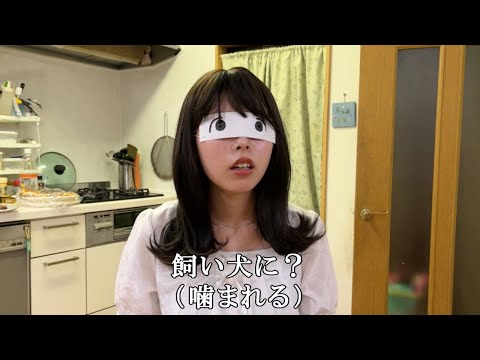 【2024年版】妹にことわざクイズを出してみた