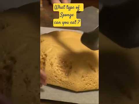 # #A sponge you can eat