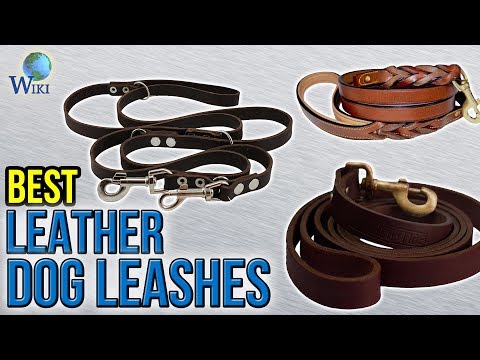 10 Best Leather Dog Leashes 2017 - UCXAHpX2xDhmjqtA-ANgsGmw