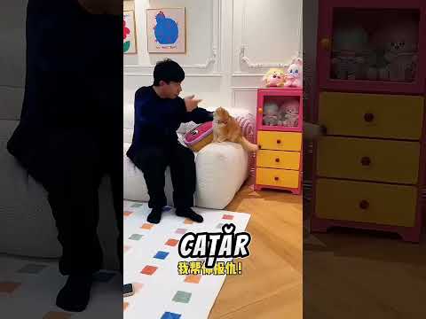 Cum Ai Ramas Blocata Aici!?