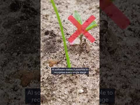 Farmers drive innovation with lasers and AI | DW News