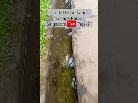 Menyamar Pajak #shorts#reels#feed#ceramah#kajian#ustadzdasadlatif#pajak#amanah#taat#rakyat#singapore
