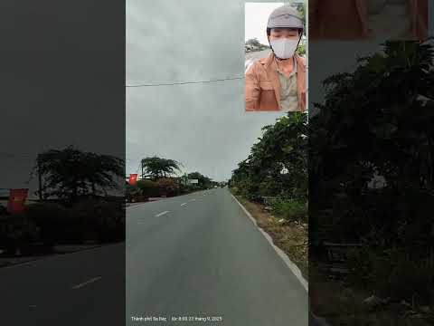 Môn dâu đang trên đường tìm bến đỗ mới#MônDâu#ĐiGiaoCây#ShipCâyXanh