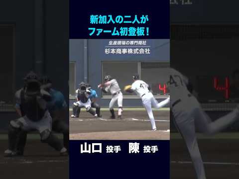 【6月6日くふうハヤテ戦】山口廉王投手 陳睦衡投手がファームで初登板！#山口廉王 #陳睦衡 #shorts #オリックス