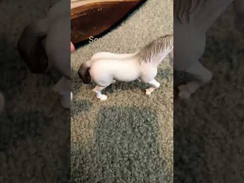 #remix #kpop #speedsong #mashup #horse #covermusic #neigh #funny #coversong #new