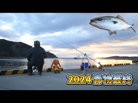 2024 青物最終便（タブン）