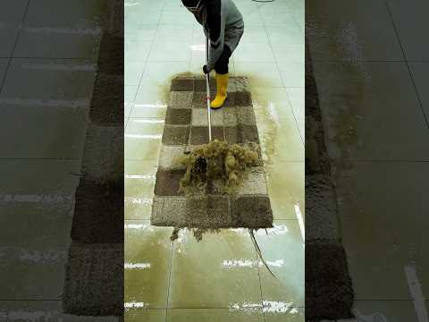 SHAGGY CARPET RESTORATION | Old  New (ASMR)