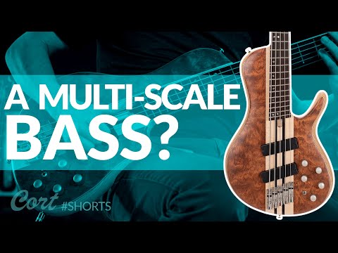 Cort Artisan A5 Beyond Demo | Indoor Sunset By Vinny