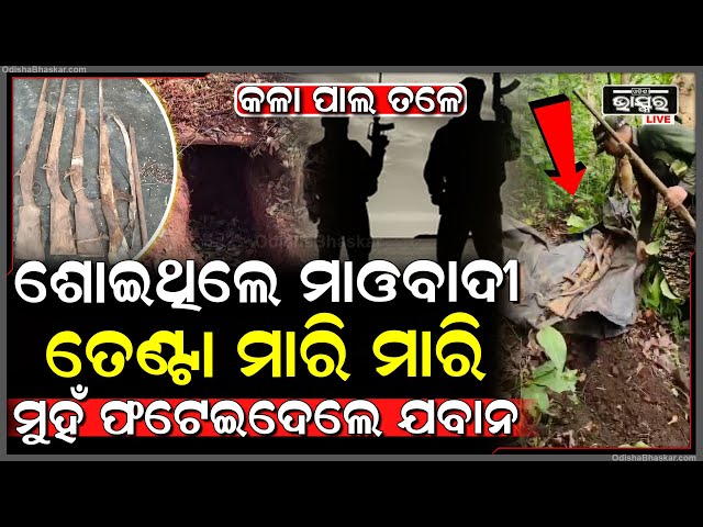 ମାଓବାଦୀଙ୍କୁ ଭୁଆଁ ବୁଲେଇଲେ ଯବାନ, ସୁଡଙ୍ଗ ଭିତରେ ଲୁଚିରହିଥିଲେ, ମାଟି ଖୋଳି ତେଣ୍ଟା ମାରି ମାରି ମୁହଁ ଫଟେଇଦେଲେ