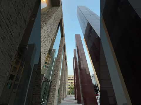 Our Edmonton. #yeg #travelalberta #exploreedmonton #cityhall