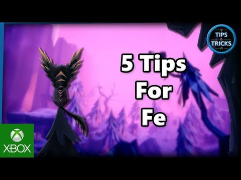 Tips and Tricks - 5 Tips for Fe
