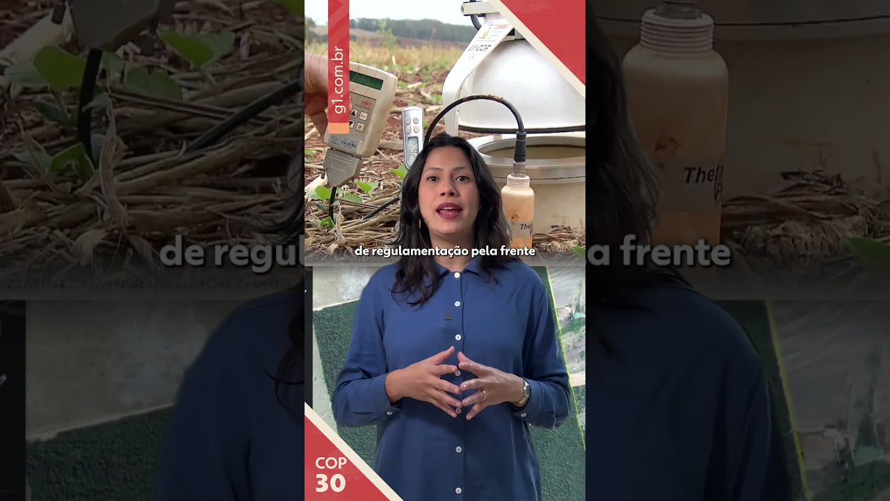 O que é e como funciona o mercado de carbono