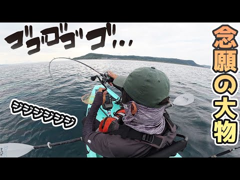 ヤバこれ釣れるじゃん!!久しぶりの大型魚きたきたきたー!