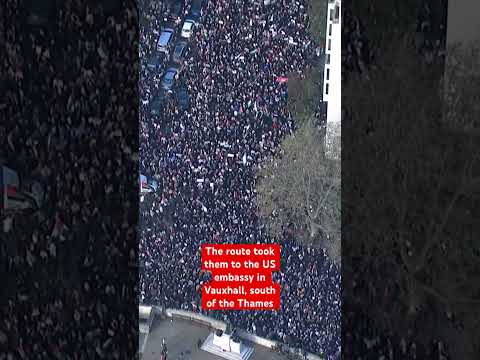 Hundreds of thousands of protesters gathered in London to call for a ceasefire in Israel-Hamas war