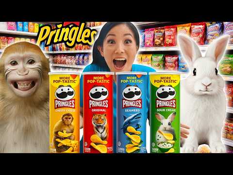 BORONG PRINGLES HEWAN LUCU DI MINIMARKET !