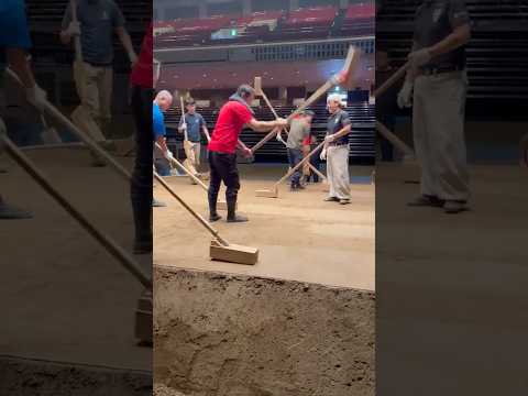 Как строят ринг для Сумо #амитеш #сумо