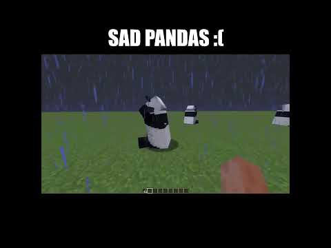 SAD PANDAS :( #minecraft