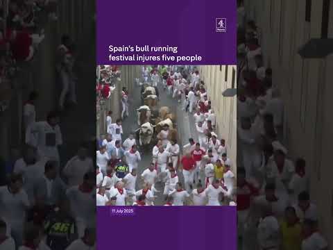 Spain's bull running festival injures five people