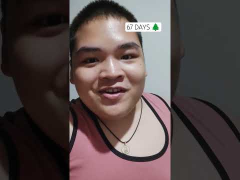 D-67 | COUNTDOWN TO CHRISTMAS DAY #christmastree #christmas #holidayseason #holiday #birthofjesus