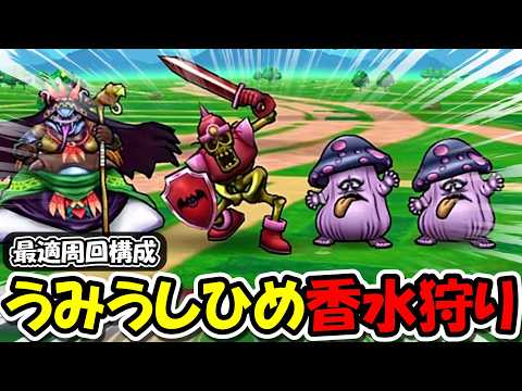 【ドラクエウォーク】新香水うみうしひめ狩り最適構成探し＆超重要なアプデが来たぞ・・・！