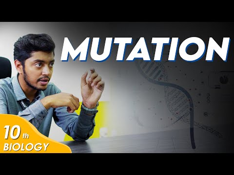 Mutation | Biology | Class 10 | Chitti Classes