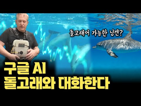 구글AI 소름... 이제 돌고래와 대화합니다 ㄷㄷ 픽셀 스마트폰에서 OnDevice AI로 가능 | 소리해석뿐만 아니라 대화 실험도