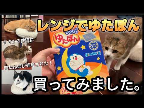 大切な湯たんぽが猫に奪われたので、急遽レンジでチンできる湯たんぽ買いました。