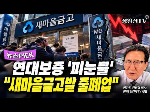 [뉴스픽] 연대보증 '<strong>피눈물</strong>'..."새마을금고발 줄폐업"