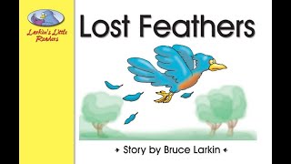 Lost Feathers 