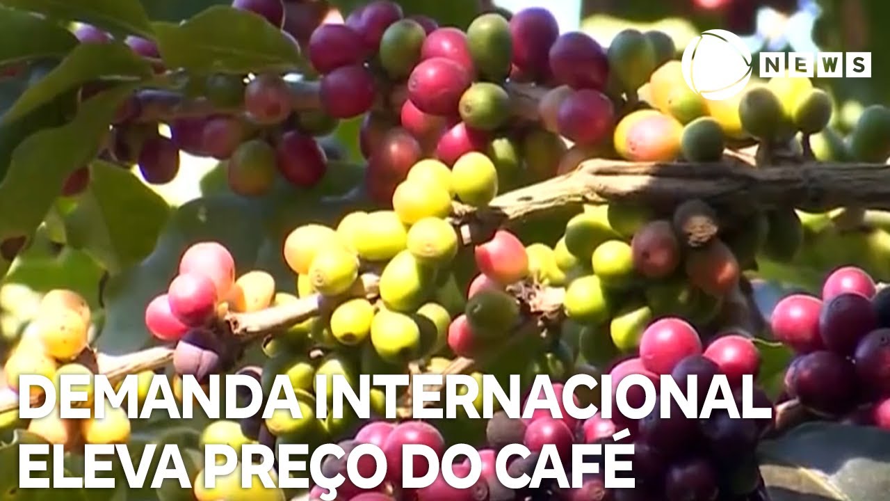 Preço do café deve seguir alto devido à demanda internacional