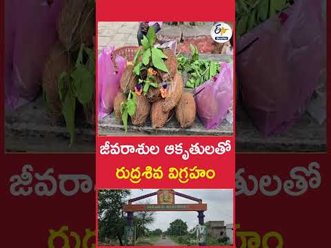 జీవరాశుల ఆకృతులతో రుద్రశివ విగ్రహం