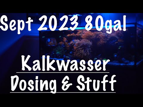 80gal Lagoon Update on Kalkwasser Dosing September Check out how the 80gal is doing. Thanks for watching and supporting guys I appreciate it.

Get 10% 