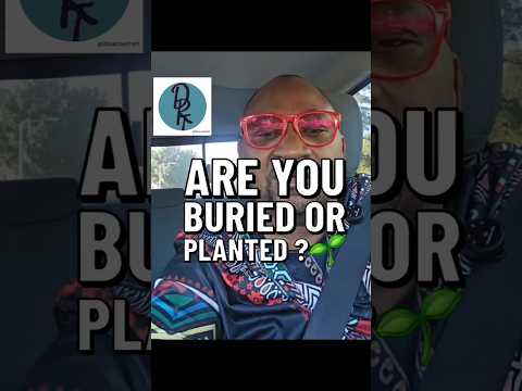 "Are buried or planted?" #30secswithdrt #@30secswithdrt #dailyadvice #dailyinspiration
